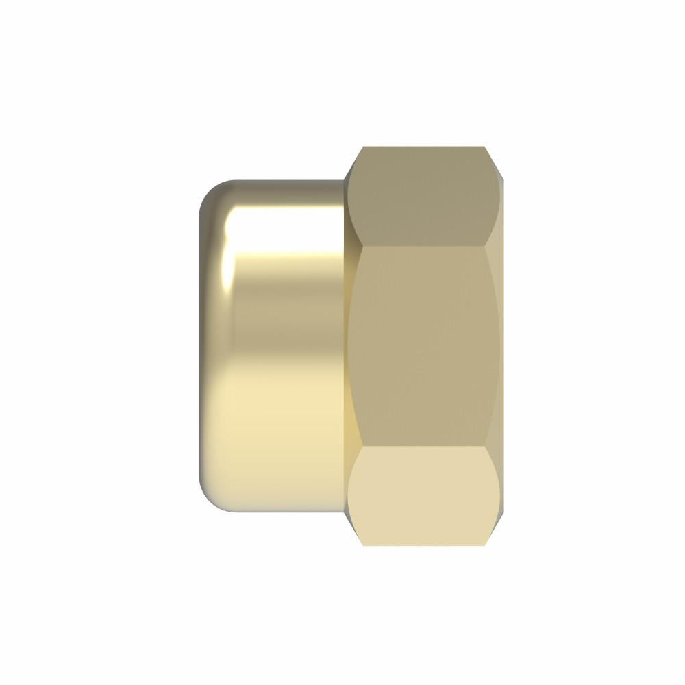 Eaton Industrial Pipe End Cap: 1/4" Female Thread, FNPTF - 3129X4