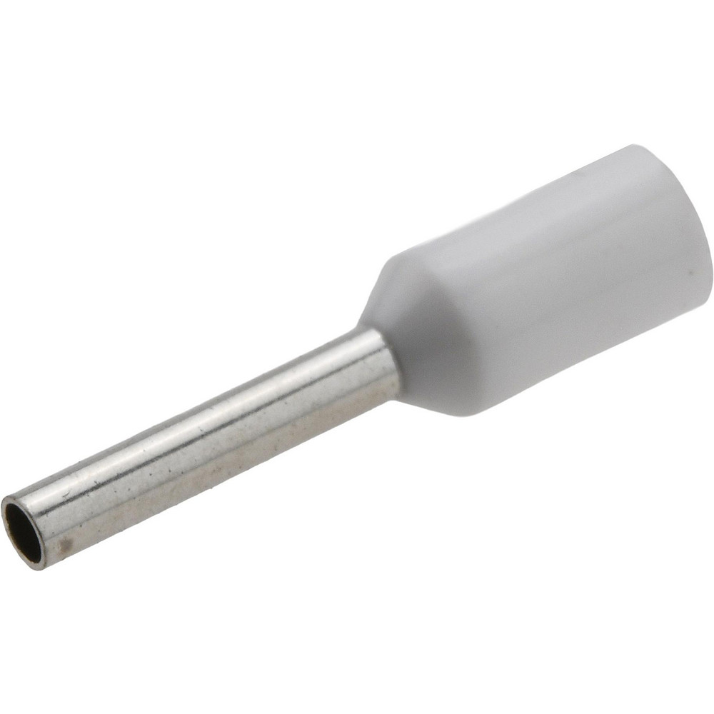 Merit Brass Pipe Half Coupling: 1/8", 316 Stainless Steel - K611H-02