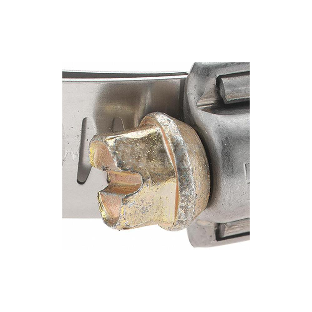 Made in USA Worm Gear Clamp: SAE 52, 2-13/16 to 3-3/4" Dia, Stainless Steel Band - 9252H BW
