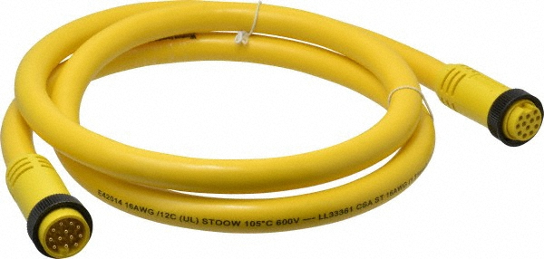 Brad Harrison 5 Amp, Female Straight, Male Straight Cordset Sensor and Receptacle - 332020A01F060