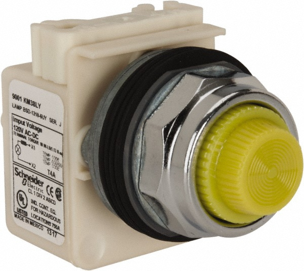 Schneider Electric 120 V Red Lens LED Pilot Light - 9001KP38LRR6