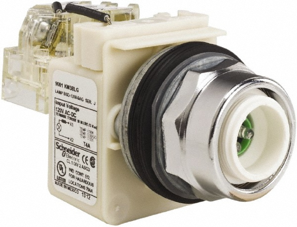 Schneider Electric 120 VAC LED Indicating Light - 9001KT38LG