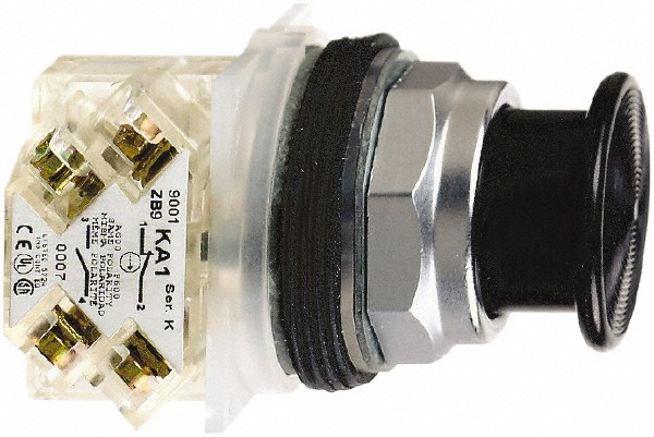 Schneider Electric Push-Button Switch: 30 mm Mounting Hole Dia, Momentary (MO) - 9001KR5R05H6