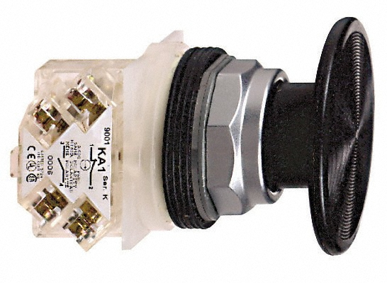 Schneider Electric Push-Button Switch: 30 mm Mounting Hole Dia, Momentary (MO) - 9001KR5R05H6
