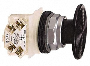 Schneider Electric Push-Button Switch: 30 mm Mounting Hole Dia, Maintained (MA) - 9001KR9RH27