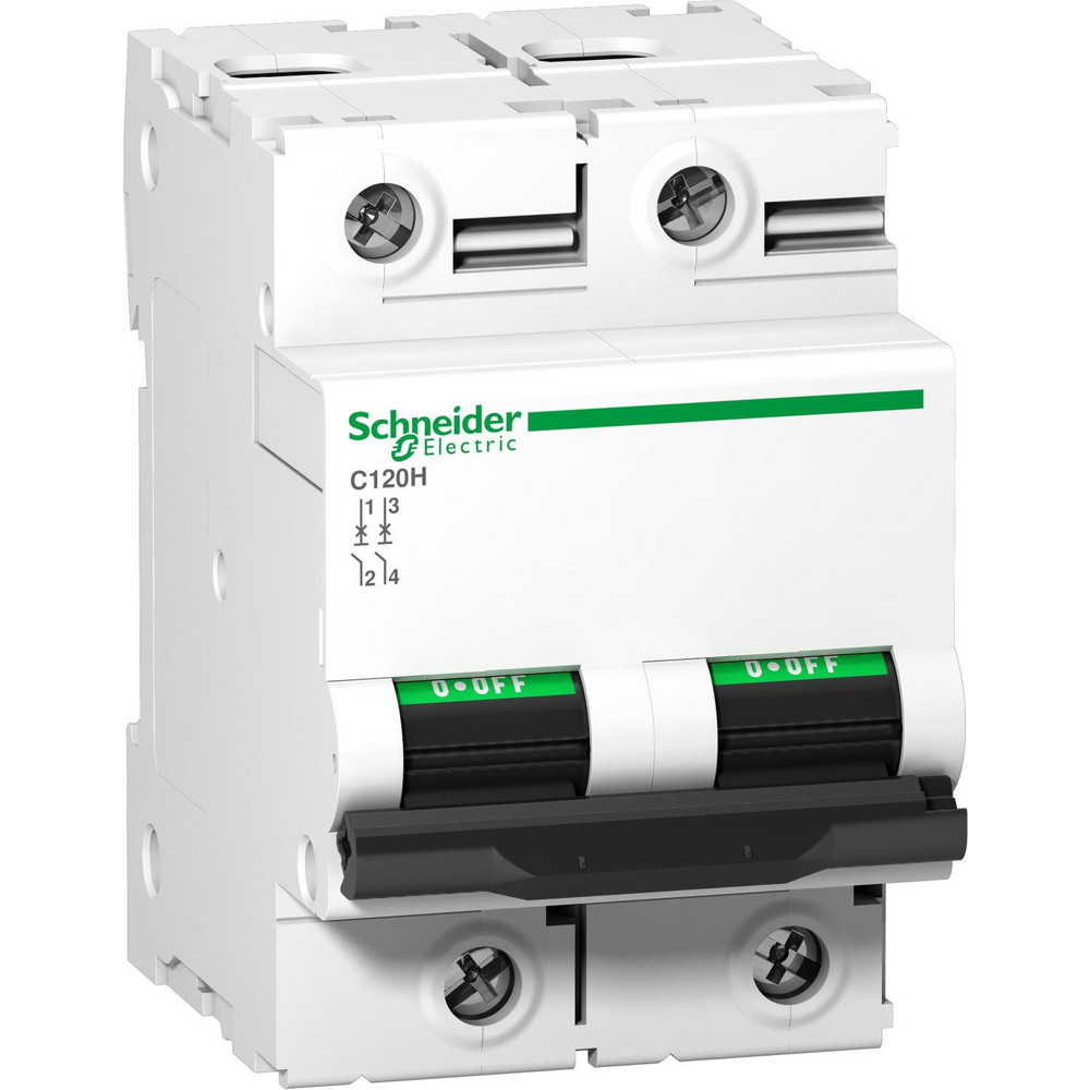 Schneider Electric 80 Amp, 440 VAC, 2 Pole, DIN Rail Mounted Miniature Circuit Breaker - A9N18413