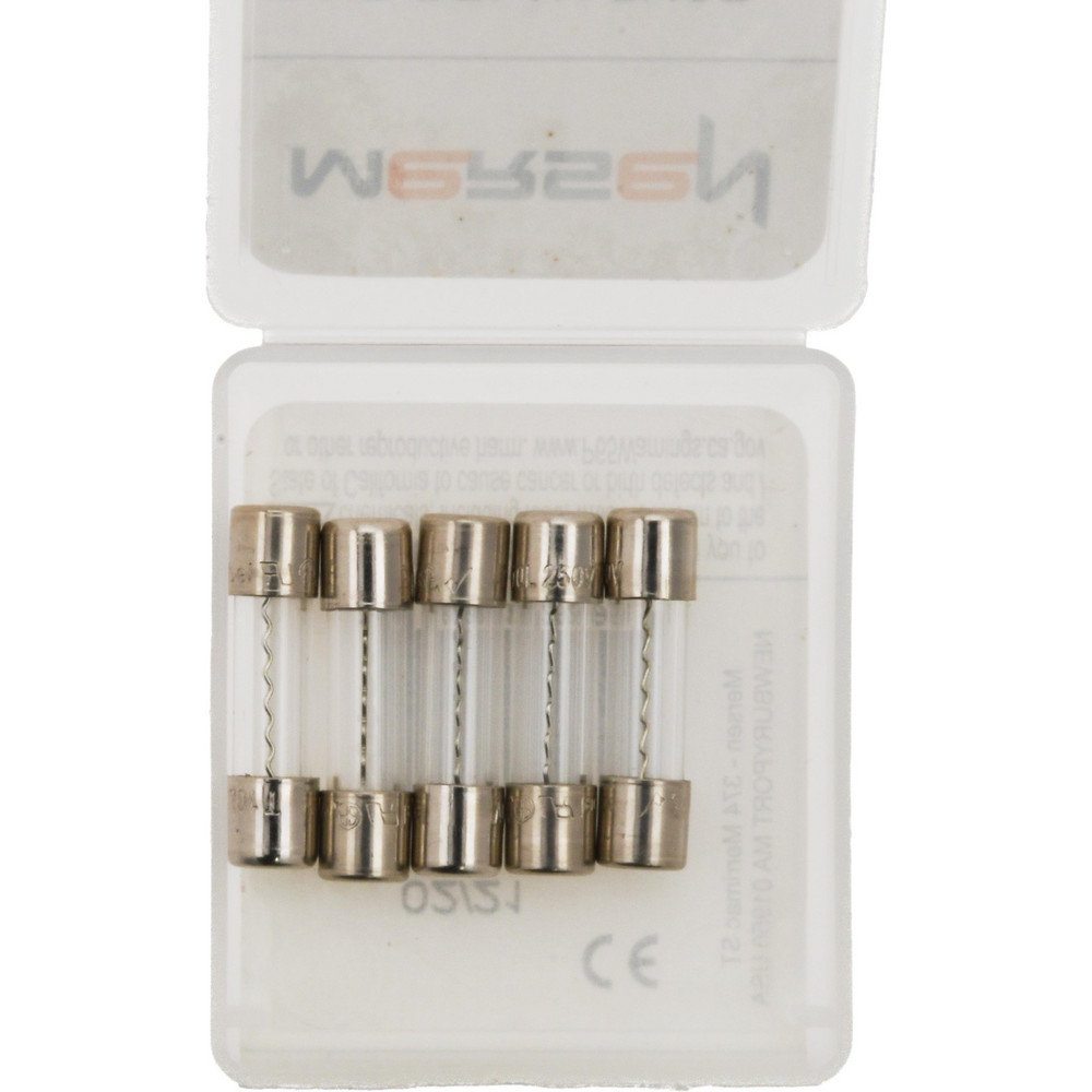 Ferraz Shawmut Mini Fuse: Fast-Acting, 250 V, 1.00 A - GGM1-MSC