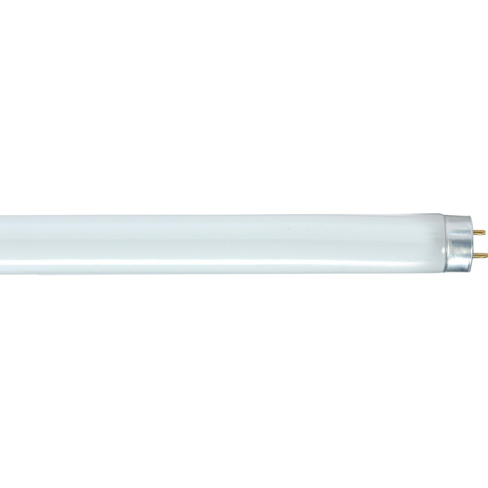 Value Collection Commercial, Industrial, Office & Residential  Fluorescent Lamp: 17.000 W, T8, Miniature Bi-Pin - S8406
