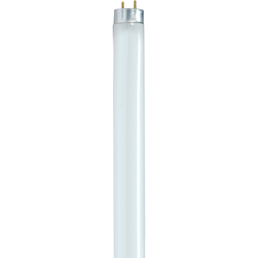 Value Collection Commercial, Industrial, Office & Residential  Fluorescent Lamp: 17.000 W, T8, Medium Bi-Pin - S8404