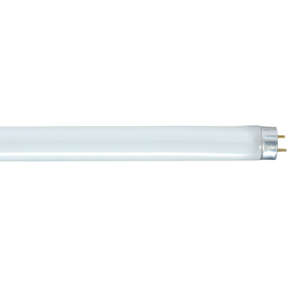 Value Collection Commercial, Industrial, Office & Residential  Fluorescent Lamp: 17.000 W, T8, Medium Bi-Pin - S8404