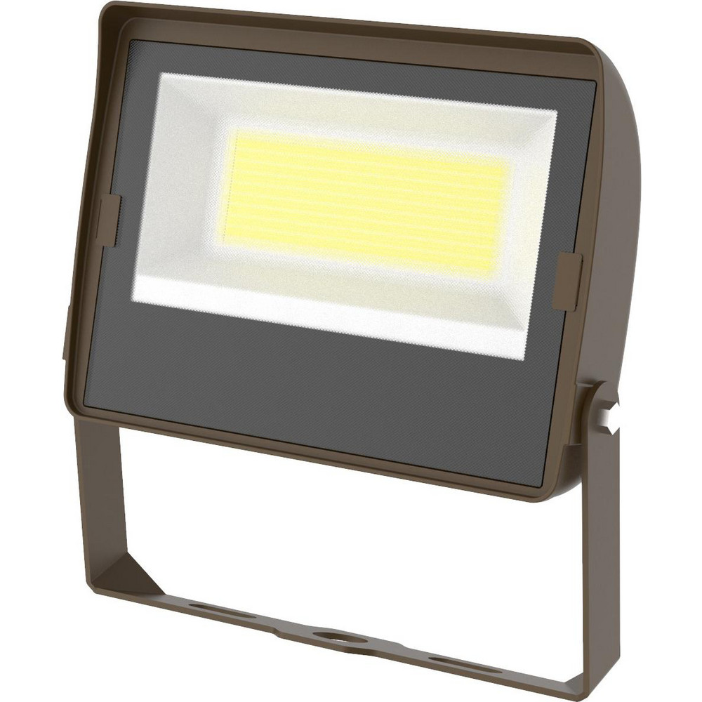 Philips 1 Head 20 Watt 120-277 V LED Floodlight Fixture - 912401467971