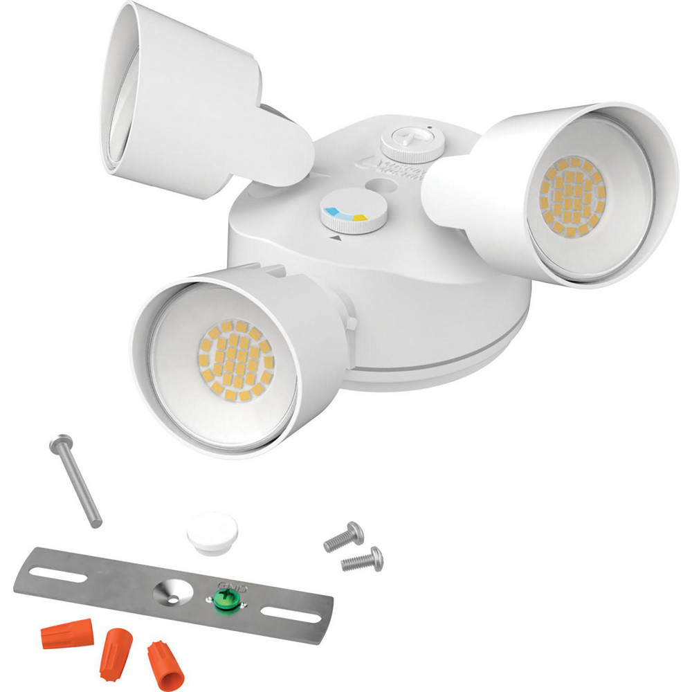 Lithonia Lighting 2 Head 20 Watt 120 V LED Floodlight Fixture - 271FJ0
