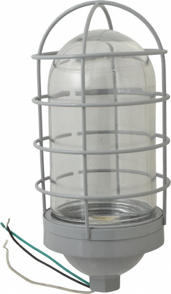 Cooper Crouse-Hinds 120 Volt, 100 Watt, Incandescent Hazardous Location Light Fixture - TP7620
