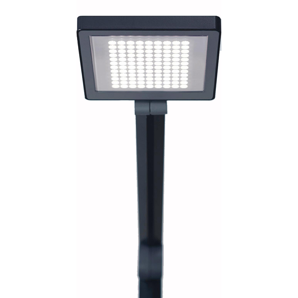 Waldmann Lighting Task Light: LED, 31.5" Reach, Articulated Arm, Base, Black - FTL108B30WB