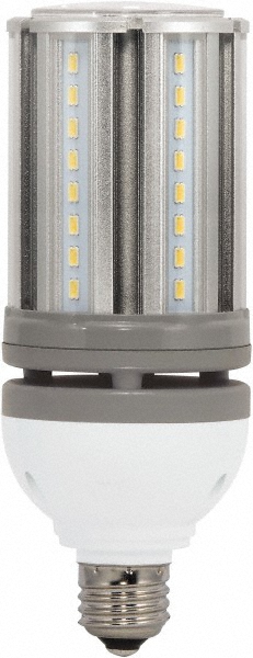 Filamento LED Commercial & Industrial Lamp: 30 Watts, LED, E26 Base - 03604