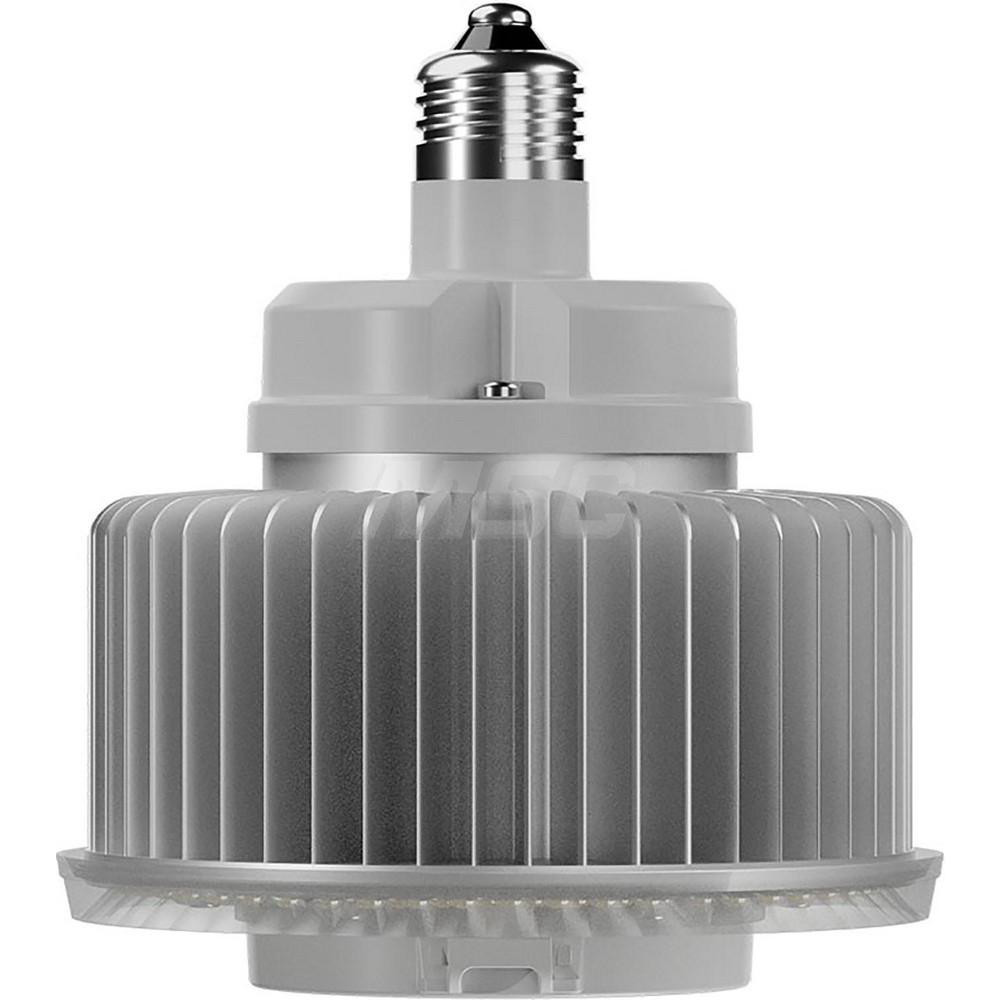 Filamento LED Commercial & Industrial Lamp: 30 Watts, LED, E26 Base - 03604