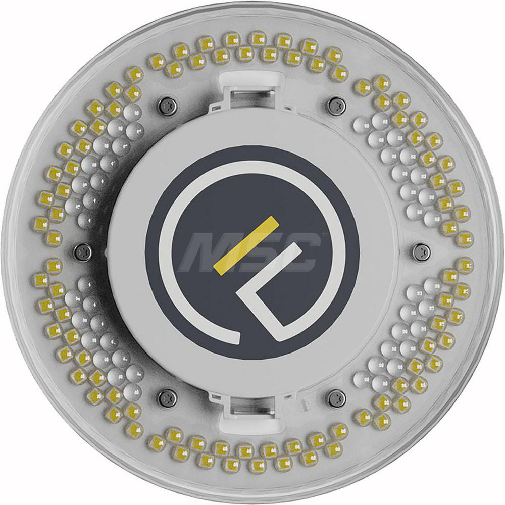 Filamento LED Commercial & Industrial Lamp: 30 Watts, LED, E26 Base - 03604