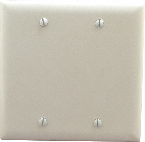 Pass & Seymour 2 Gang, 4-3/4 Inch Long x 4-11/16 Inch Wide, Standard Blank Wall Plate - TP23I
