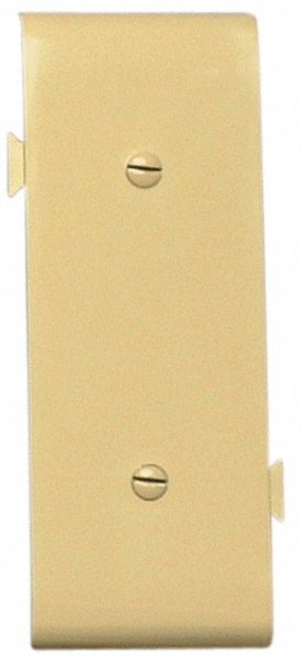 Pass & Seymour 2 Gang, 4-3/4 Inch Long x 4-11/16 Inch Wide, Standard Blank Wall Plate - TP23I