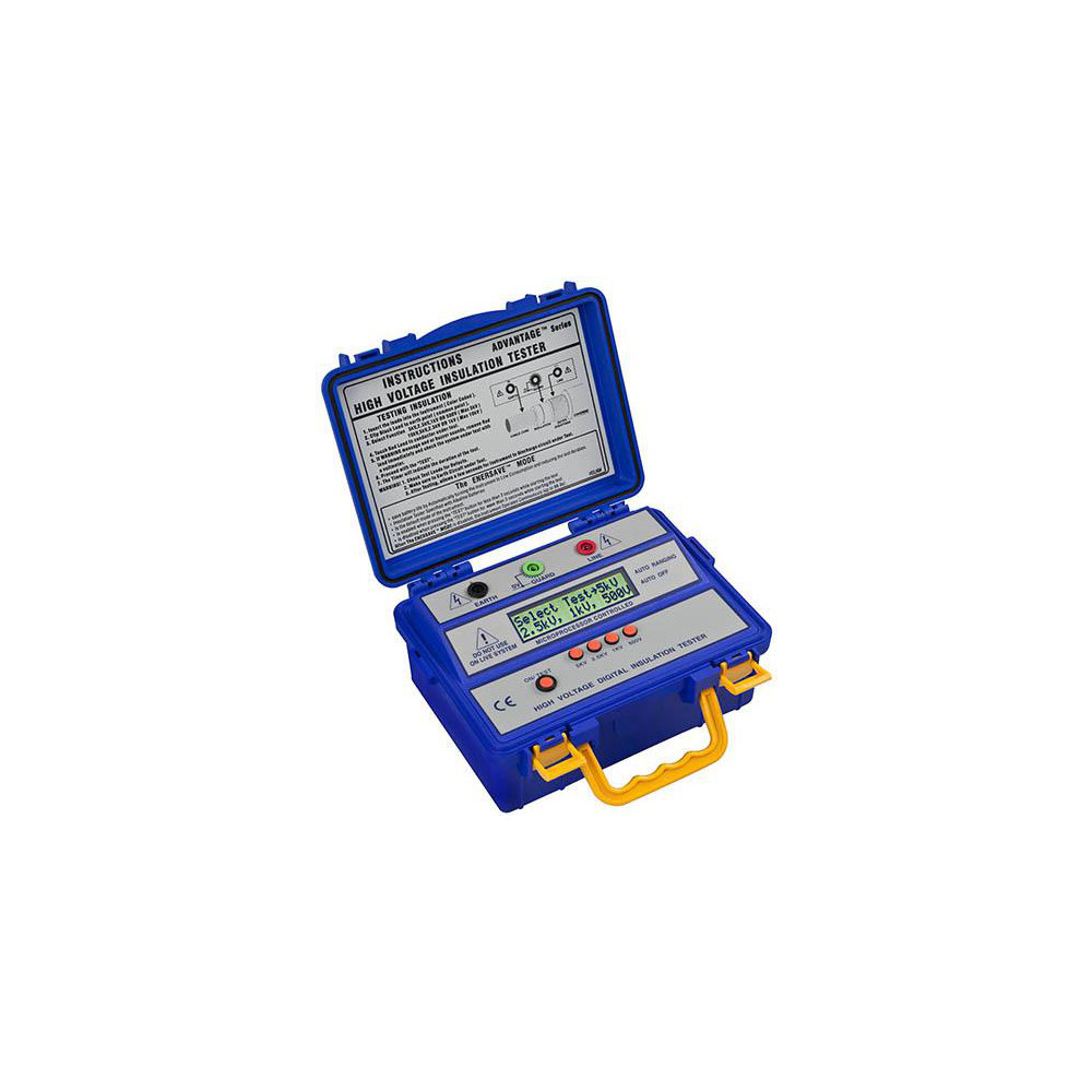 FLIR Megohmmeters: Display Type: LCD; Power Supply: C Batteries; Resistance Capacity (Megohm): 600 Ω; Maximum Test Voltage: 5000 - 380396