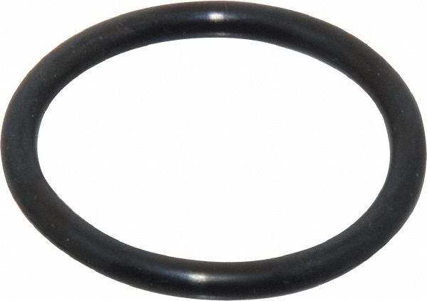 Thomas & Betts Neoprene Sealing Gasket for 1" Conduit - SR-103