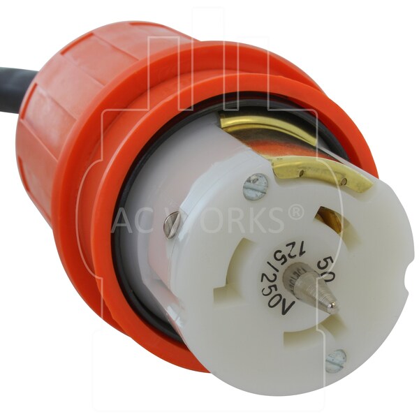 Ac Works SOOW Locking Extension Cord, 12 AWG, Indoor/Outdoor, 12/4, 1 Outlets, Black, Rubber, Nylon, L14-20P - TEL1420-010
