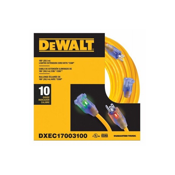 Century Wire & Cable SJTW Extension Cord, 10 AWG, 10/3, 100 ft - DXEC17003100