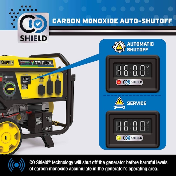 Champion Power Equipment Portable Generator, Gasoline/Natural Gas/Propane, Electric, Recoil Start, 120/240V AC - 201169