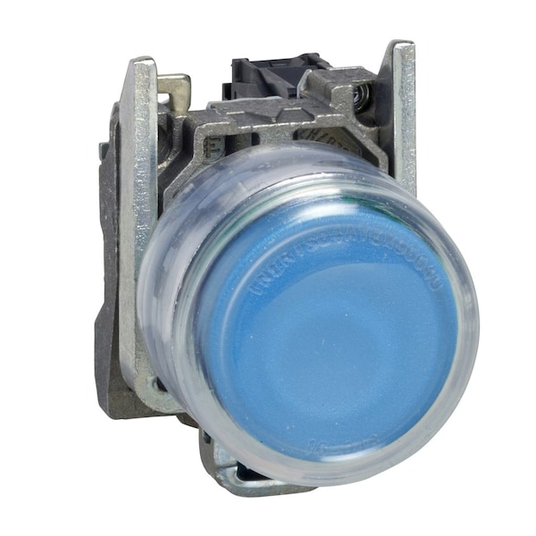 Botón pulsador de Schneider Electric, Harmony XB4, metal, saliente, azul, 22 mm, de retorno por resorte, protegido, sin marcar, 1NO - XB4BP61
