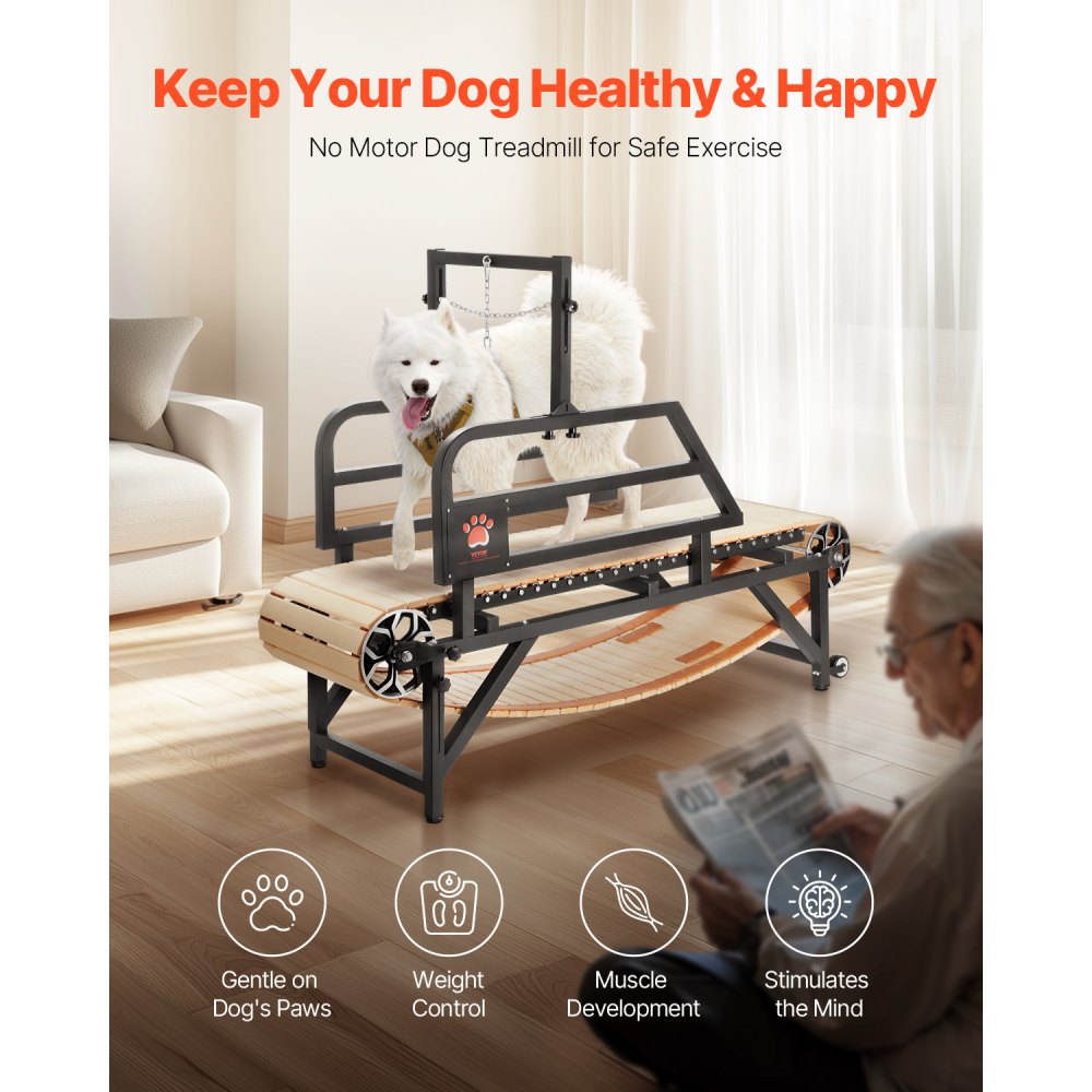 Dog Treadmill for Medium Dogs up to 220 lbs Indoor Pet Running Machine - FDDGGPBJDXQLRMHH8V0