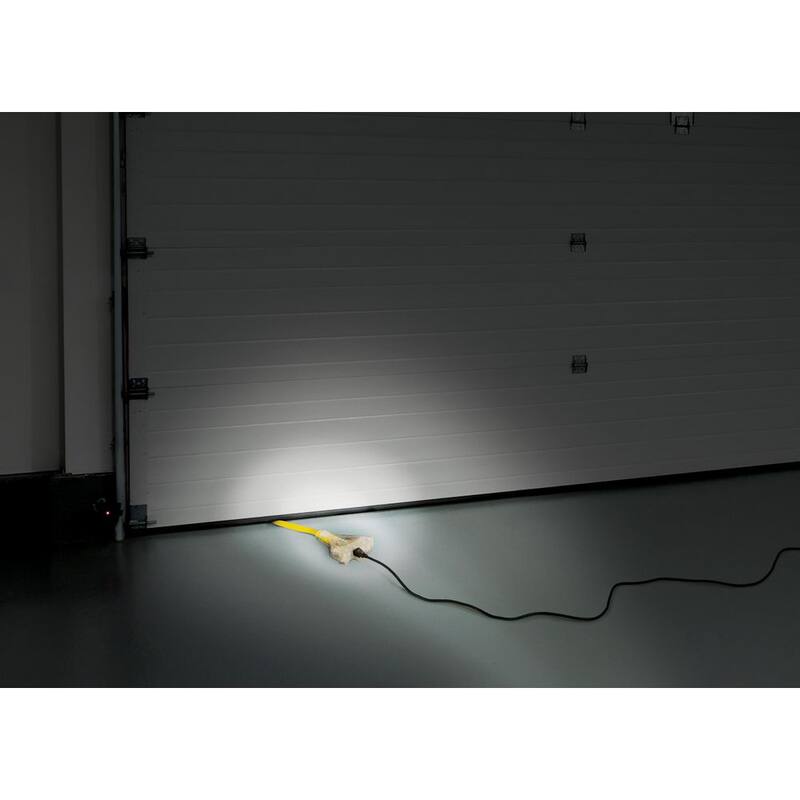 Champion Power Equipment 25 ft. 30 Amp 125/250-Volt Duplex-Style Flat Generator Extension Cord - 100439