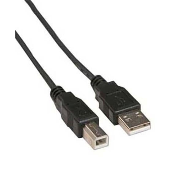 Generac 3 ft. A-Male to B-Male USB2.0 Cable - BL150131IV