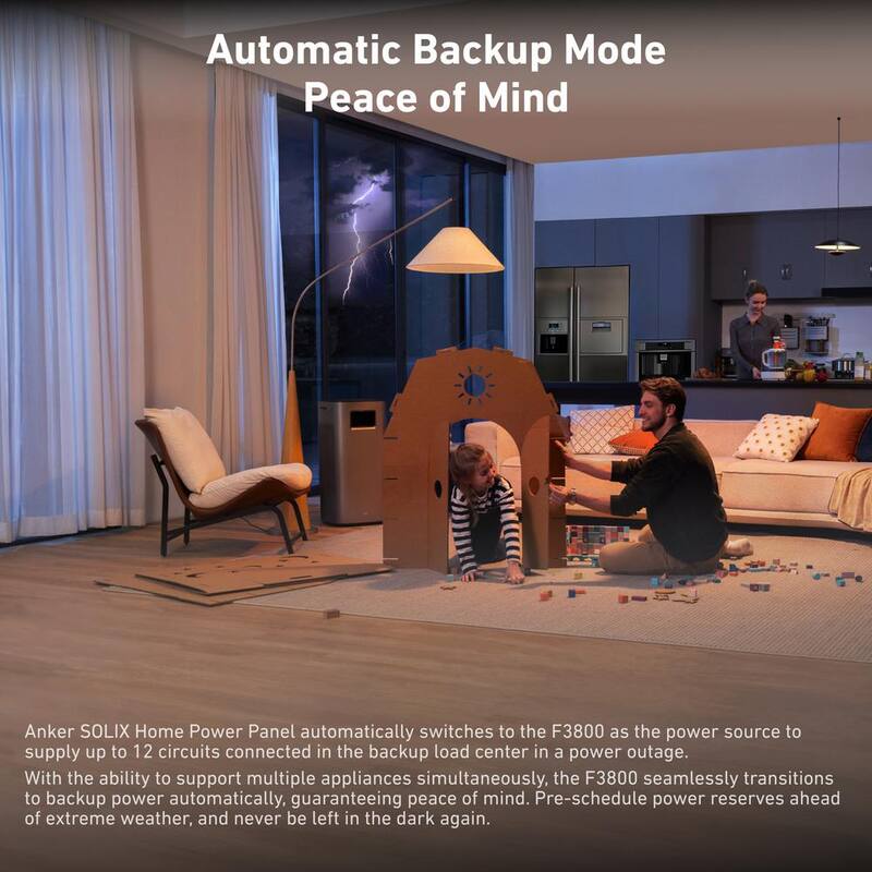 Anker SOLIX Smart Home Power Controller for F3800 Accessible Whole Home Backup Power System - SOLIX-90B1