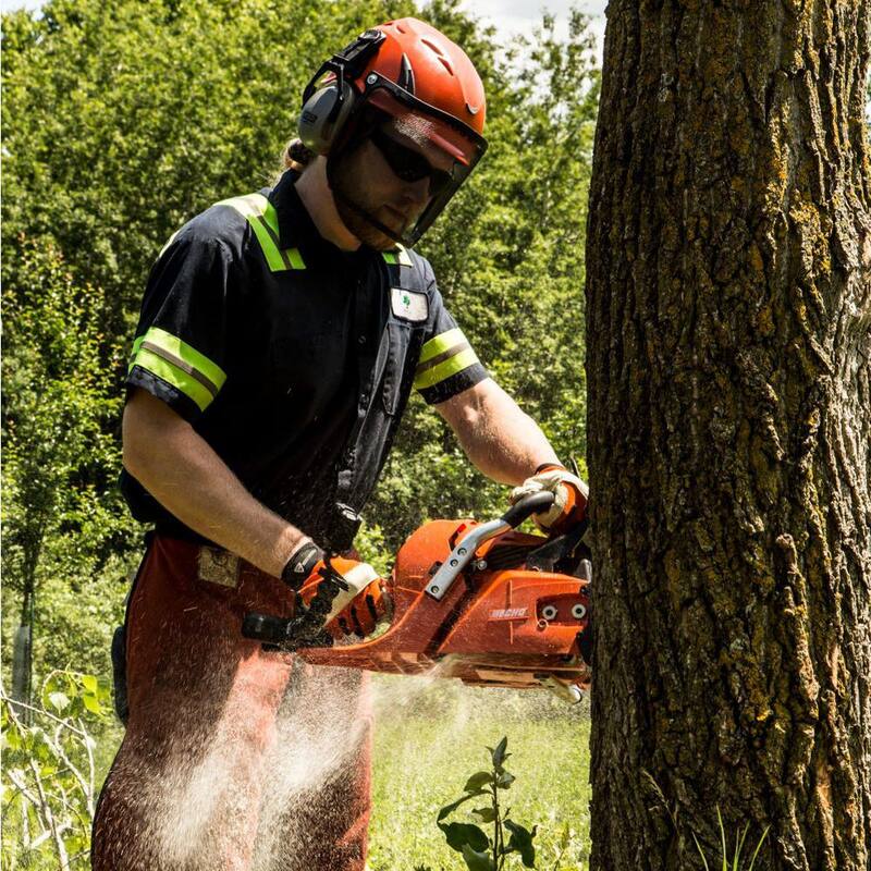 ECHO 24 in. 59.8 cc Gas 2-Stroke X Series Rear Handle Chainsaw - CS-620P-24