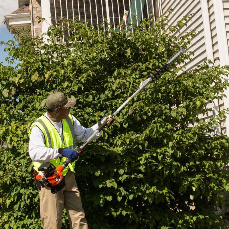 ECHO 21 in. 25.4 cc Gas 2-Stroke X Series Hedge Trimmer - SHC-2620