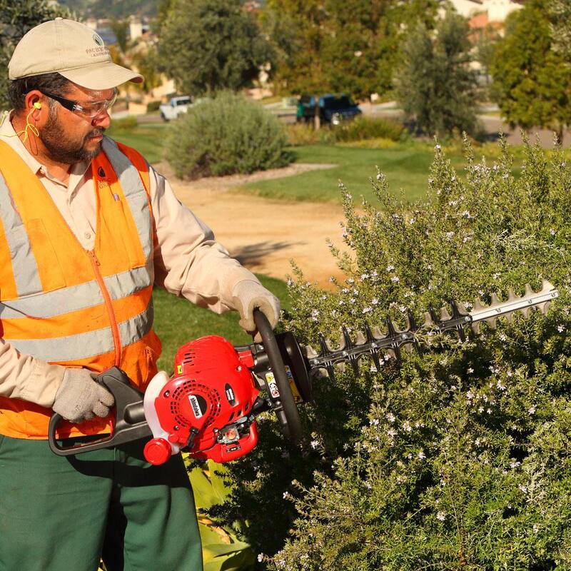 Shindaiwa 22 in. 21.2 cc Gas 2-Stroke Engine Hedge Trimmer - DH232