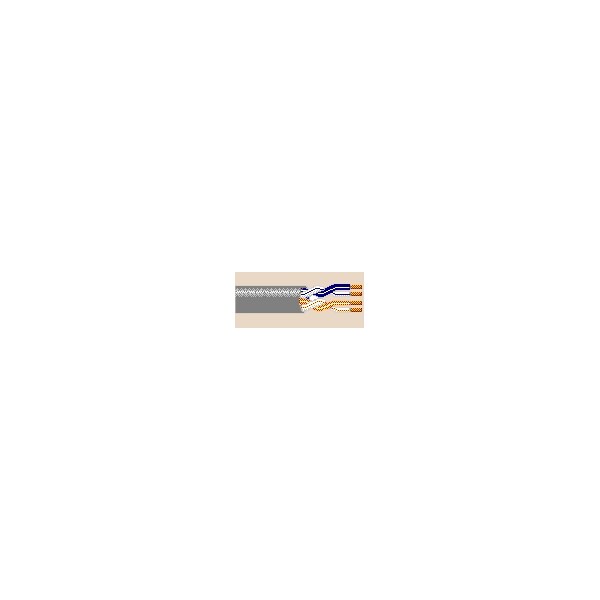 Belden 24-2P UTP SOL-CMR/CMX BC CAT3, PP/PVC GRAY 1000FT RLX, 1000FT - CM-00224BAG-3UB