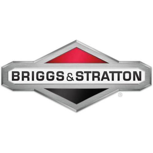 Briggs & Stratton Fuel Filter - 5098K