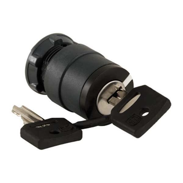 Schneider Electric Interruptor selector no iluminado, de 22mm, 2 posiciones, con llave - ZB5AG212