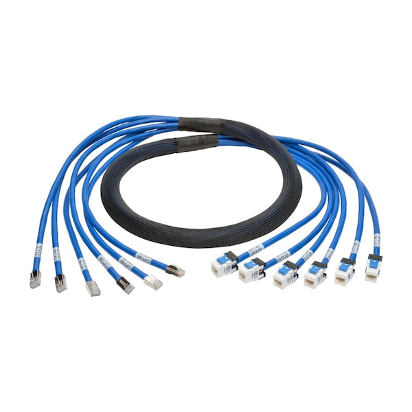 Tripp Lite Aug Cat6/6A Pre-Terminated Cop, N261-010-6MF-BL - N261-010-6MF-BL