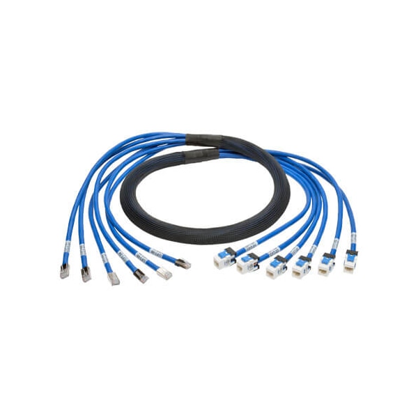 Tripp Lite Aug Cat6/6A Pre-Terminated Cop, N261-010-6MF-BL - N261-010-6MF-BL