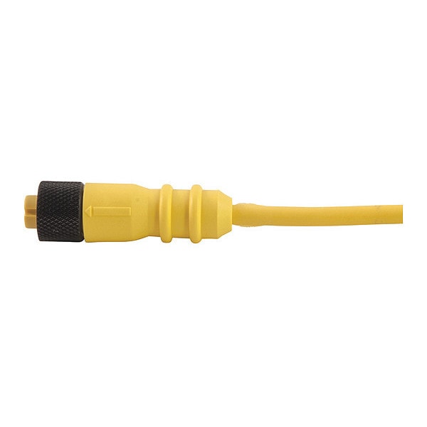 Remke Cordset, Single Key, PVC, F, 4 Pole, 13.1 ft. - 304A0131H