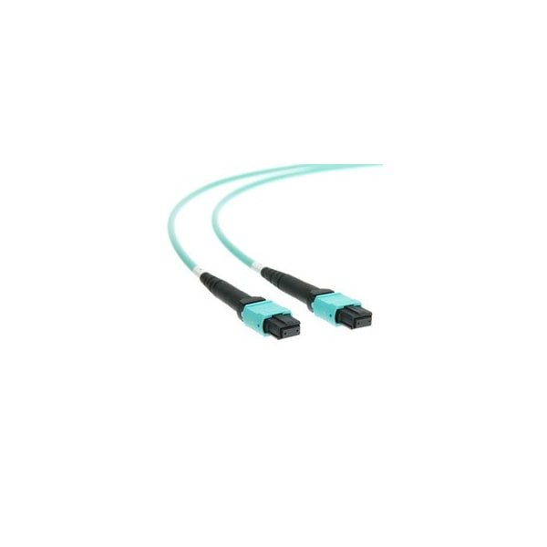 Swe-Tech 3C Plenum MTP Fiber Optic Cable, Type B, 12 Strand, 50/125 OM4, 40/100 Gbps, MTP Female, 8 meter 26.94ft - FWTMPMP-41008