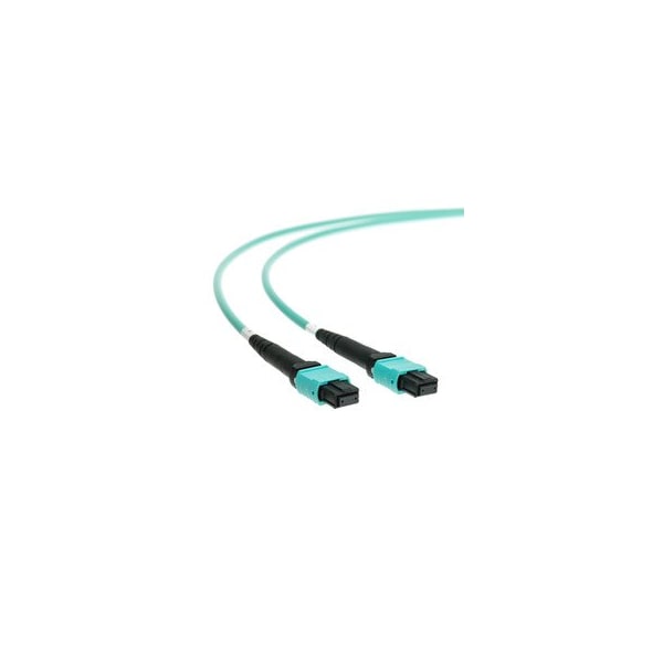 Swe-Tech 3C Plenum MTP Fiber Optic Cable, Type A, 24 Strand, 50/125 OM3, 40/100 Gbps, MTP Female, 1 meter 3.3ft - FWTMPMP-32001