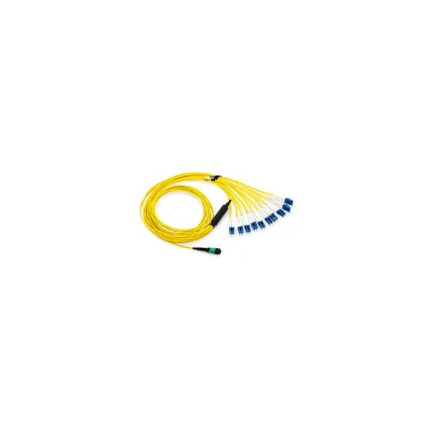 Swe-Tech 3C Plenum Fiber Optic Cable, 100 Gigabit Ethernet CFP/CXP 100GBase-SR10 to MTPMPO/LC 10 Duplex LC - FWTMPLC-22003