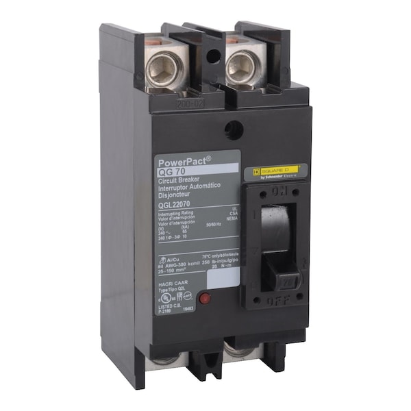 Square D Molded Case Circuit Breaker, QGL Series, 125A, 2 Pole, 240V AC, 65kA at 240V AC - QGL22125
