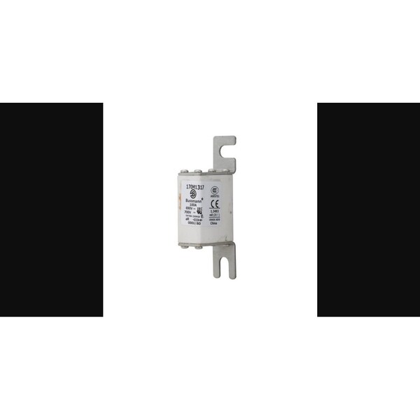 Eaton Bussmann Fuse Link, 170M Series, 100A, Very Fast-Acting, 690V AC, Bolt-In - 170M1317
