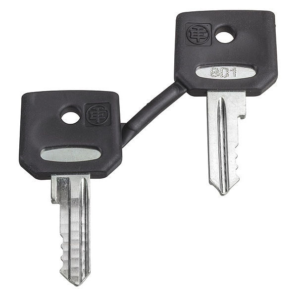 Schneider Electric Juego de 2 llaves para llave 421E - ZBG421E