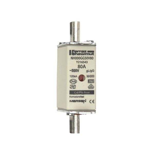 Mersen Fuse Link, Y21 Series, 80A, Time-Delay, 500V AC, Square - Y216543