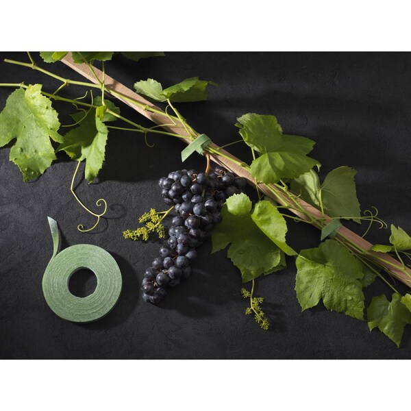 Velcro Brand GARDN TIES GRN 50'X0.5"" - VEL30071ACS-AMS